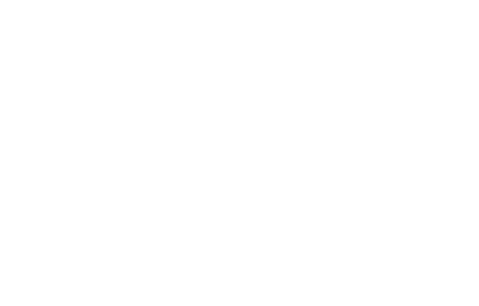 Vision Sports