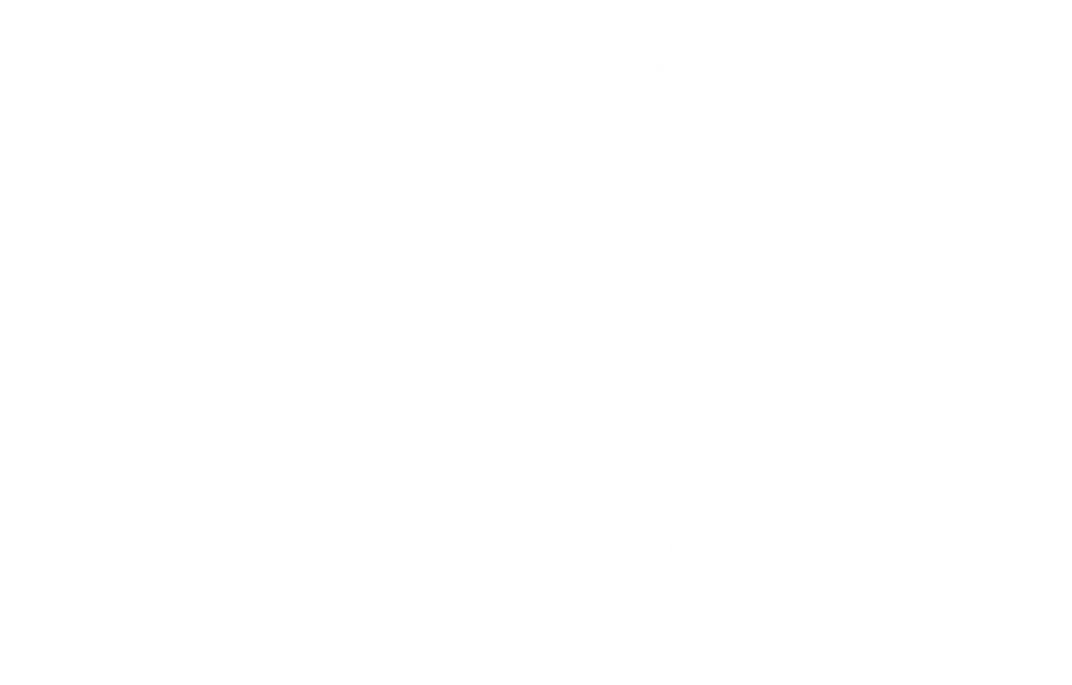 Vision Sports